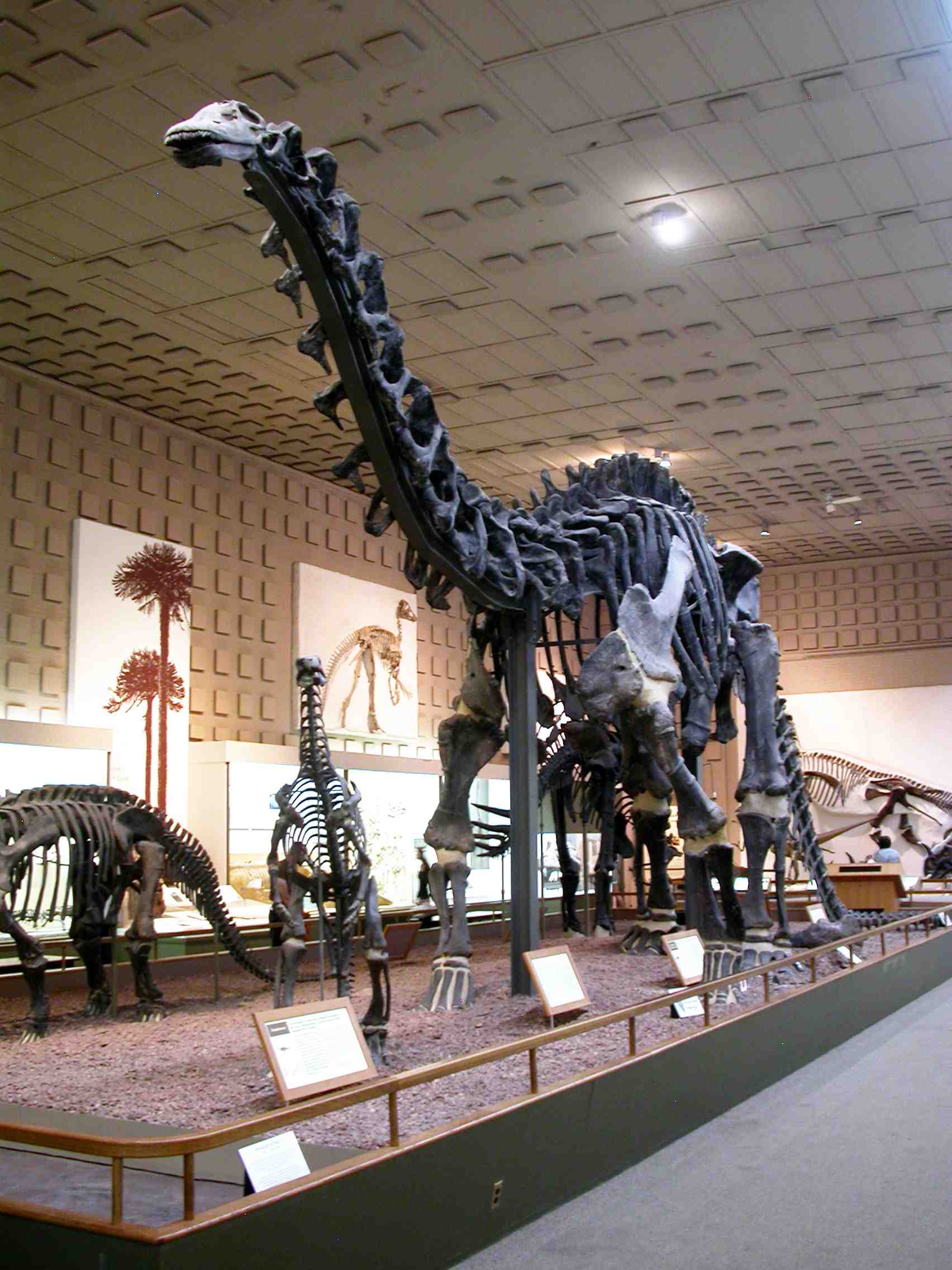 Радиоуправляемая машина brontosaurus